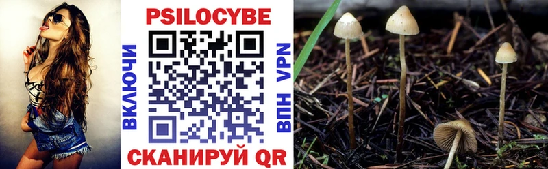 наркошоп  Пучеж  Псилоцибиновые грибы ЛСД 